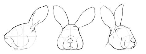 How To Draw A Realistic Rabbit Step By Step