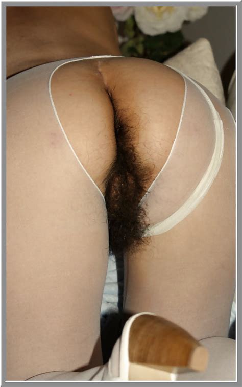 Hairy Bush Hamster Xxx Porn