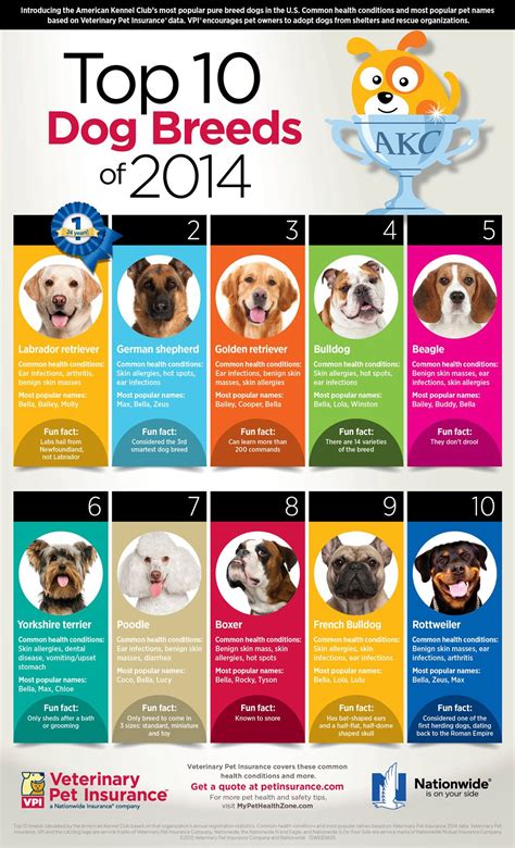 Top 10 Dog Breeds Infographic Top 10 Dog Breeds Dog Breeds Popular