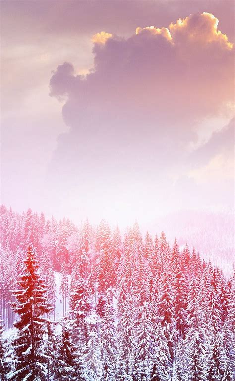 Pink Winter Sky Wallpapers Wallpaper Cave