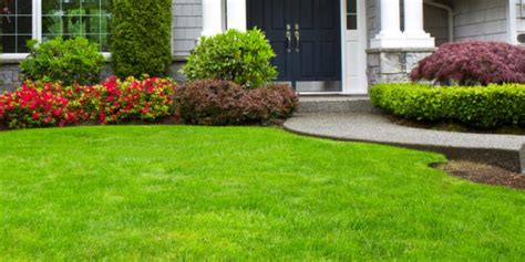 Our Services Lead To Healthy Grass And Beautiful Yards Lawn Doctor
