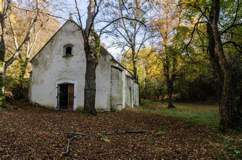 Old Abandoned Church In Forest Stock Image Image Of Oblivion Expire