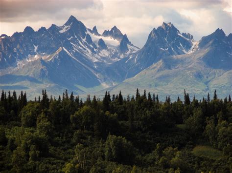 Alaska Mountains And Forest Kivi Photo Bank Of Photos Cc0