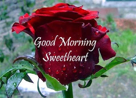 Good Morning Images For Lover Cute Love Wishes