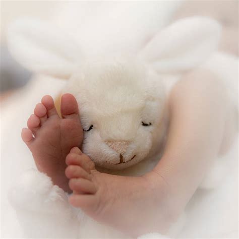 Rabbit Feet Stock Photos Pictures And Royalty Free Images Istock