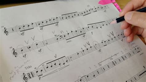 Learn another instrument at 30? What Should I Do Next In My Violin Practice ...