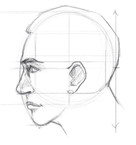 How To Draw Anime Face Side View 8 Steps How To Draw Side View Anime