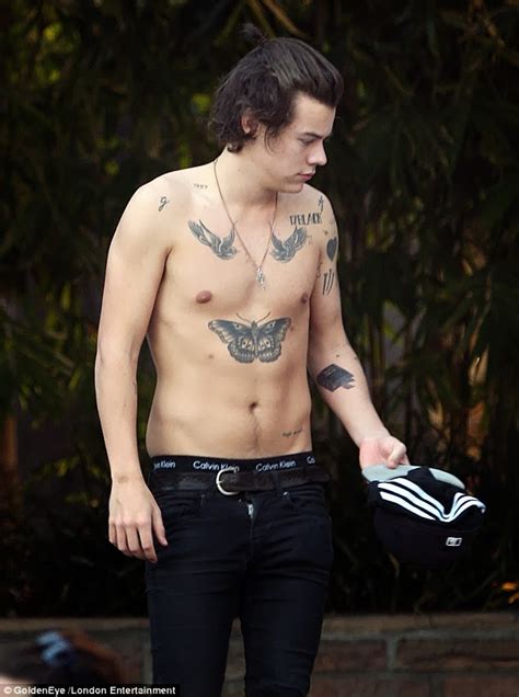 Clever Bulletin Topless Harry Styles Hangs Out Poolside With Alexa