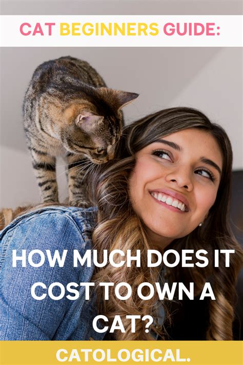 To lose what your cat needs to, he needs to eat about 200 calories per day. How Much Does A Cat Cost? Annual Expenses Revealed in 2020 ...