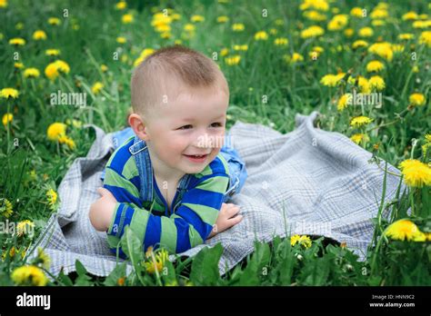 Little Boy Lying On The Flower Meadow Stock Photo Alamy