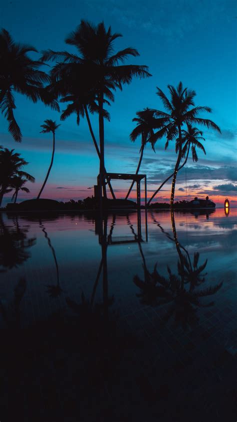 Download Wallpaper 1440x2560 Palm Trees Sunset Ocean Evening