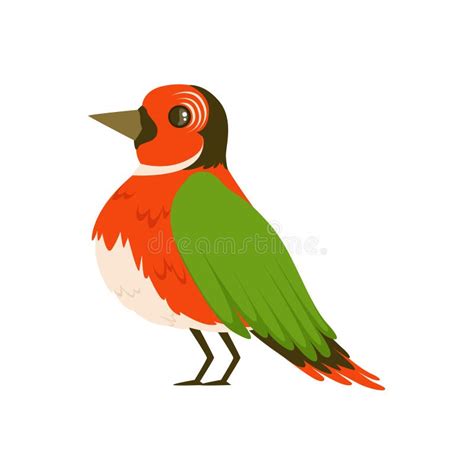 Colorful Bird Vector Illustration Stock Vector Illustration Of