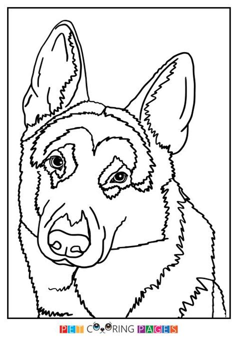 Color the pages with them and that is also called a mother and child bonding. German Shepherd Dog Coloring Page | German shepherd colors ...