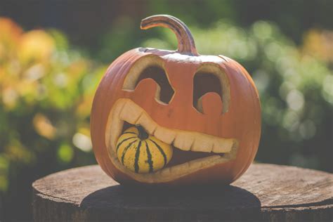 Free Images Pumpkin Calabaza Halloween Cucurbita Jack O Lantern Carving Winter Squash
