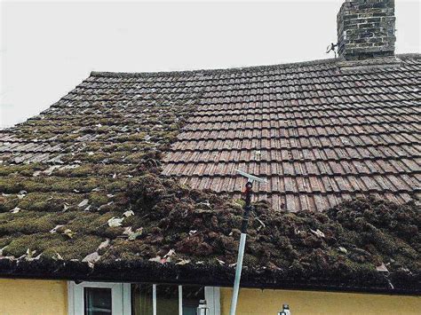 Mold In The Roof Best Mold Removel Company In Wa 99216
