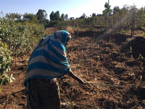 Six Years Of Drought Have Left Millions In Ethiopia Without Food Care