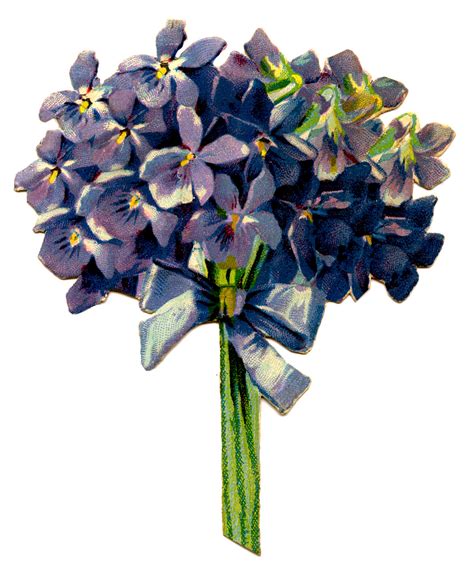 17 Vintage Violets Images Pretty Flowers The Graphics Fairy 1bc