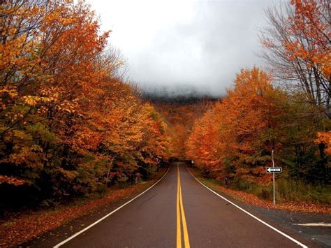 Vermont Fall Foliage Runs Great Runs
