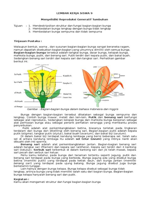 Deretan Contoh Bunga Sempurna Dan Keterangannya Terbaik Informasi