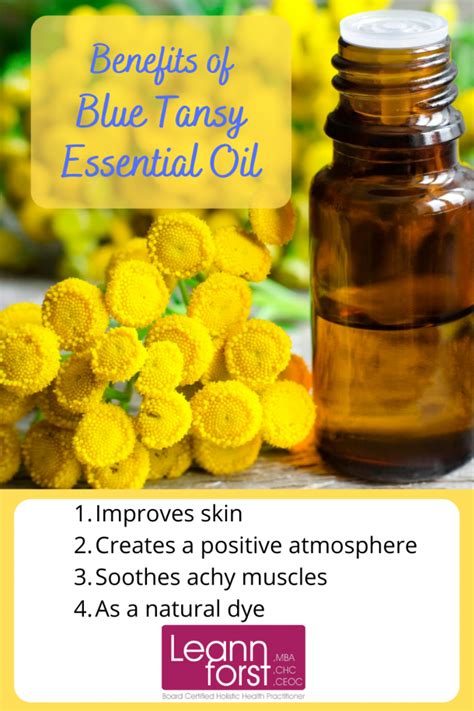 Benefits Of Blue Tansy Essential Oil Leann Forst