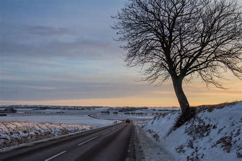 1920x1080 Resolution Tree Near The Road Hd Wallpaper Wallpaper Flare