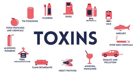 7 симптома които говорят за натрупване на токсини в организма Медико