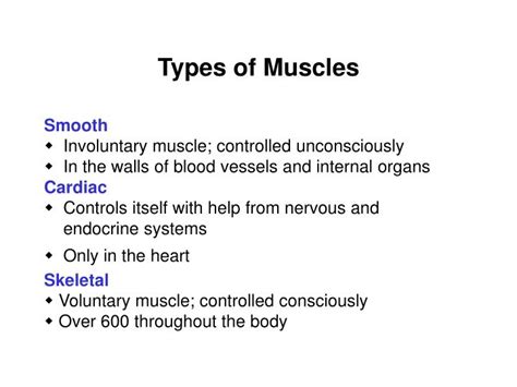 Ppt Types Of Muscles Powerpoint Presentation Id1778208