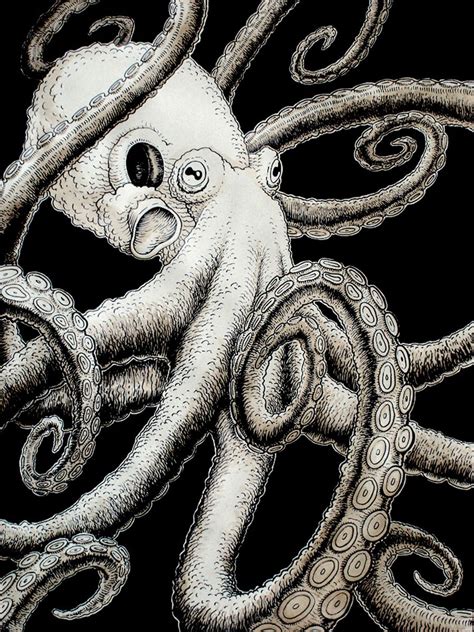 Octopus By Rode On Deviantart Octopus Art