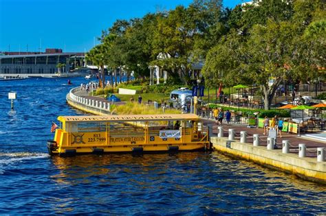 10 Fun Things To See And Do On The Tampa Riverwalk