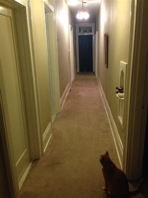 Long Dark Hallway Help