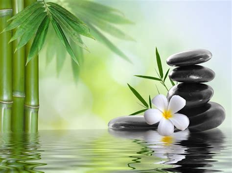 Dynamic Health Spa Asian Massage Therapist In West Palm