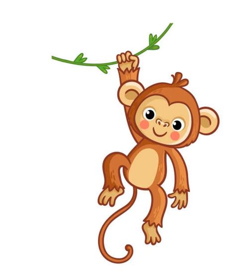 66800 Monkey Ilustraciones De Stock Gráficos Vectoriales Libres De