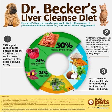 Dietary fat is thought to be a major stimulus for the pancreas to secrete digestive enzymes, which may worsen pancreatic inflammation. Pin on Puppy Love