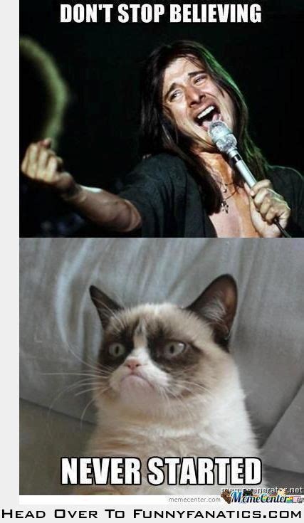 Your Hope Makes Grumpy Cat Sick Funny Grumpy Cat Memes Grumpy Cat