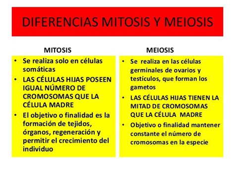 Cuadros Comparativos División Celular Mitosis Y Meiosis Cuadro
