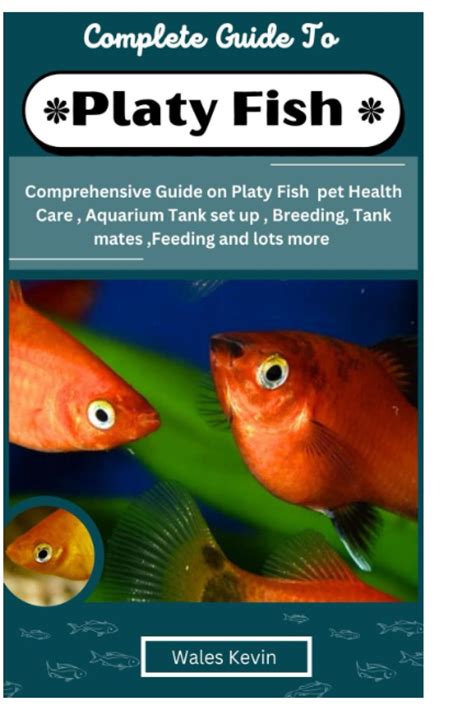 Complete Guide To Platy Fish Comprehensive Guide On Platy Fish Pet
