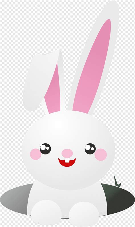 Animación De Dibujos Animados Conejo Europeo Conejo De Dibujos