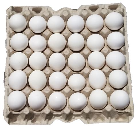 Large White Eggs Goffle Road Poultry Farm