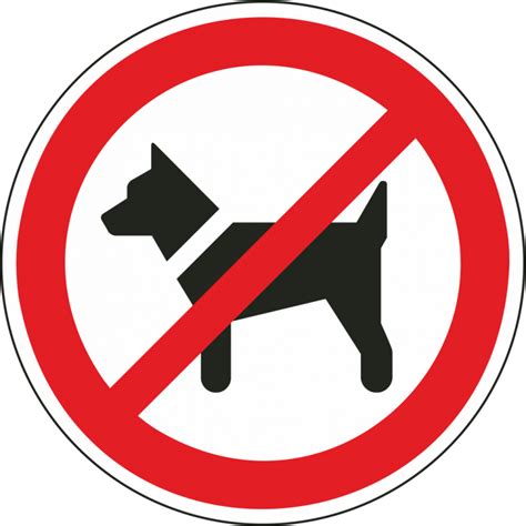American staffordshire terrier zählen in vielen bundesländern deutschlands zu den kampfhunden. "Das mitführen von Hunden ist verboten"-Aufkleber für innen und außen (ISO-7010).