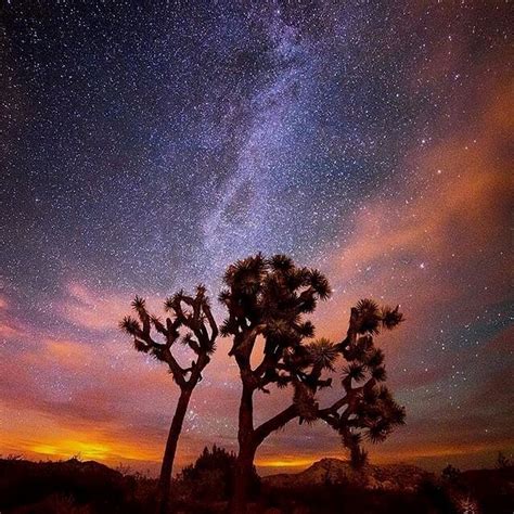 Milky Way Over Joshua Tree National Park California 💜💛💜 Picture By
