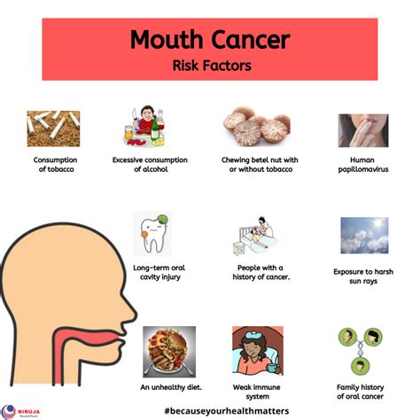 Mouth Cancer Risk Factors Infographic