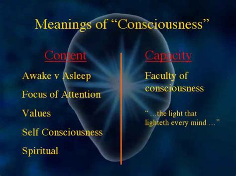 Meanings Of “consciousness”