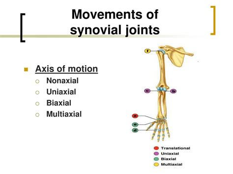 Gliding Synovial Joint