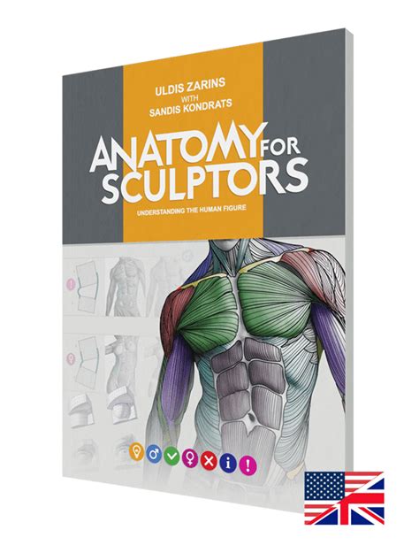 Understanding The Human Figure Paperback By Anatomy For Sculptors