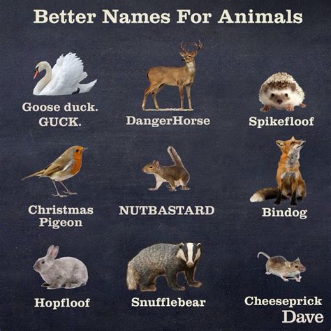 Well It An Alternative Funny Animal Names Animal Jokes Funny Animal