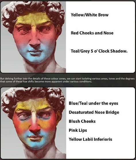 Color Zones Of The Face Color Zones Of The Face Digital Art