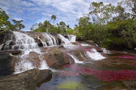 A 2024 Guide To Caño Cristales Rainbow River Colombia Tips And Best