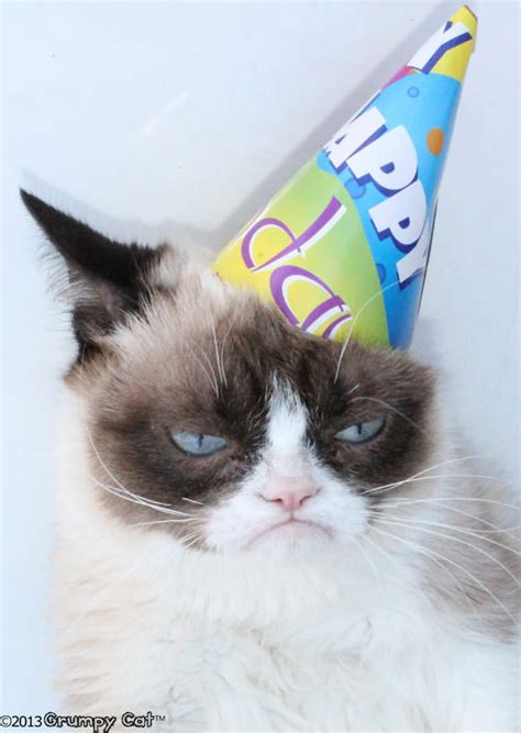 Happy Birthday Grumpy Cat! | Grumpy Cat®