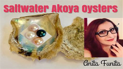 Opening Amazon Akoya Oysters To Find Pearls Youtube