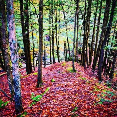 Autumn Steps Digital Art By Theo Westlake Fine Art America
